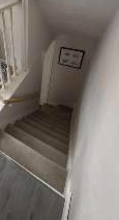 IMG_2963.jpeg