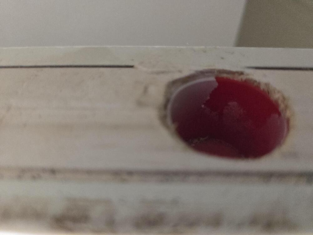20260827_163320.jpg